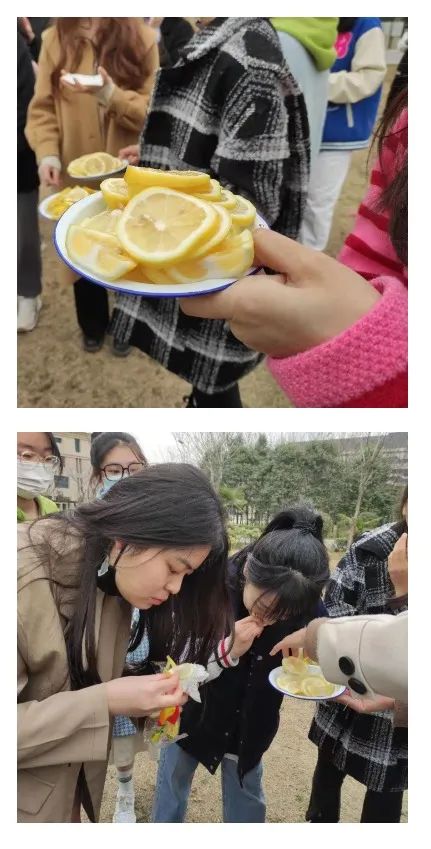 best365官方网站登录入口