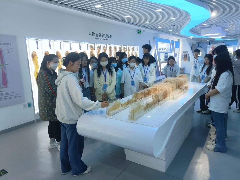 best365官方网站登录入口